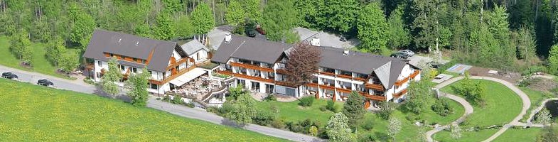 Wellnesshotel Grüner Wald, Urlaubs- und Wellnesshotel Freudenstadt-Lauterbad/Schwarzwald