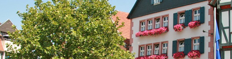 Romantik Und Wellness Hotel Zum Stern Bad Hersfeld Angebote